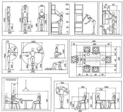 La-antropometría-estudia-las-medidas-del-cuerpo-humano-a-fin-de ...