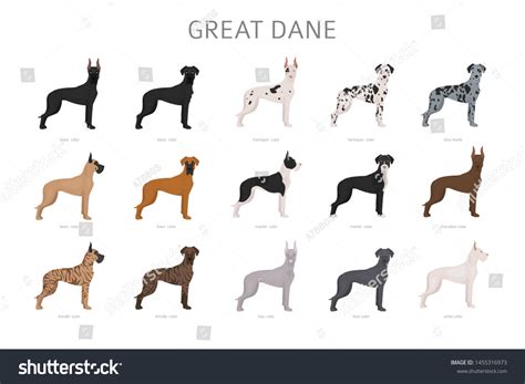 24 Great Dane Coats Stock Vectors, Images & Vector Art | Shutterstock