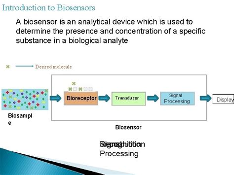 BIOSENSOR General principles and applications Presented By Miss