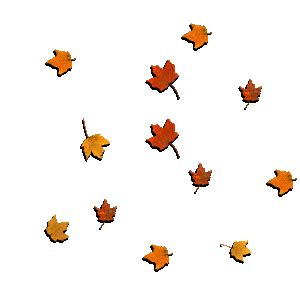 Animated Falling Leaves Gif Transparent : Leaves, animated , nature , Caree , Transparent ...