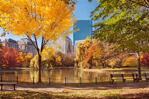 Move to Boston: Top 5 Fall Activities | Olympia Moving & Storage