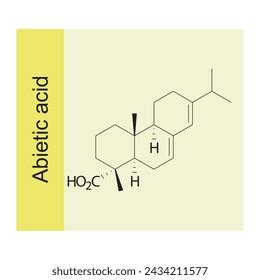 Abietic Acid Skeletal Structure Diagramsesquiterpene Compound Stock Vector (Royalty Free ...