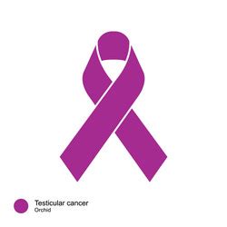 Testicular Cancer Ribbon Vector Images (over 420)