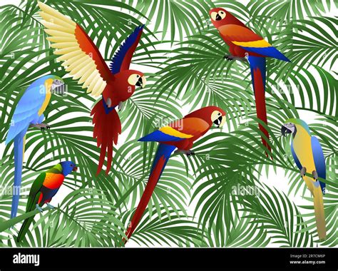 Parrot bird vector Stock Vector Image & Art - Alamy