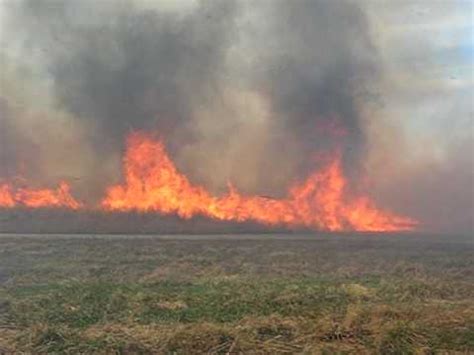 Prescribed Fire at Prophetstown State Park - YouTube