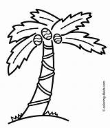 Palm Tree Coloring Pages To Print  Home sketch template