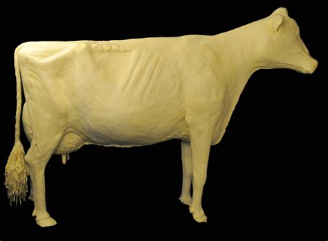 Sculptor Talks About Butter Cow At The Iowa State Fair | Radio 570 WNAX