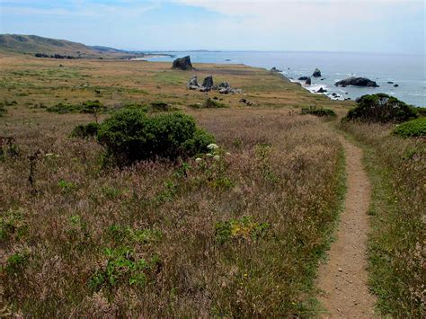 Hit the Trails: The Most Scenic Hikes Along the Sonoma Coast