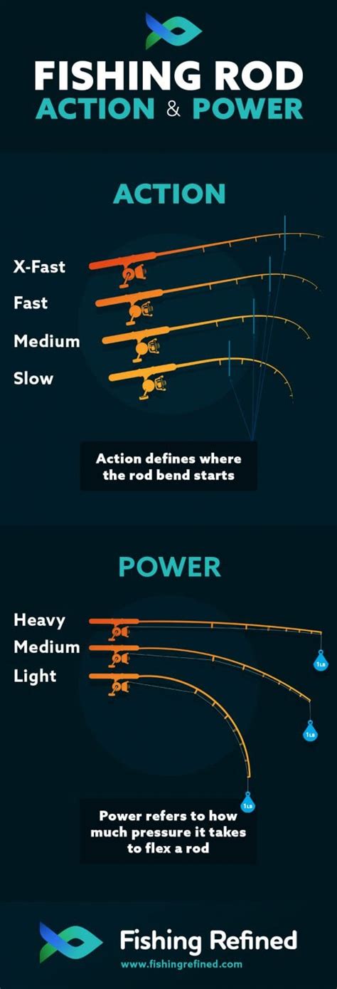 Different Fishing Rod Types & Uses Explained (Guide)