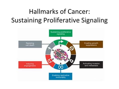 Hallmarks in cancer