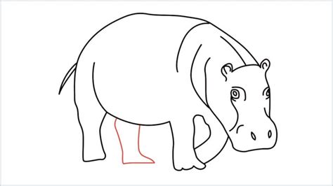 How To Draw A Hippo Step by Step - [15 Easy Phase]