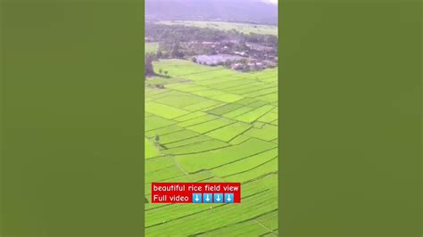 Beautiful rice field view Drone | Video drone 4K UHD relaxation | REAXING MUSIC VIDEO DRONE # ...