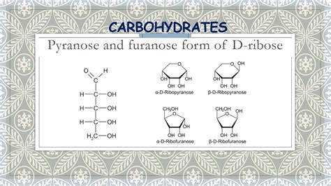 Pyranose and furanose form of D-ribose - YouTube