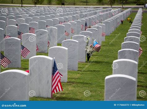 Gravestones with Flags at Cape Canaveral National Cemetery Editorial ...