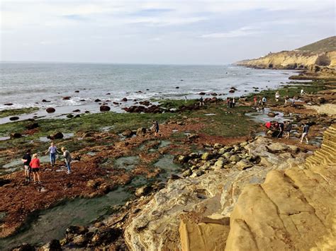 Cabrillo National Monument-Tide Pools – San Diego Beach Secrets