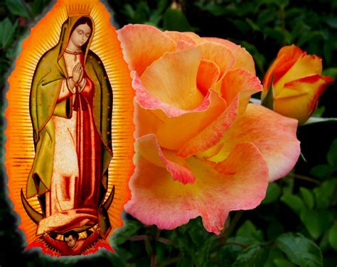 🔥 [50+] Mexican Virgin Mary Wallpapers | WallpaperSafari