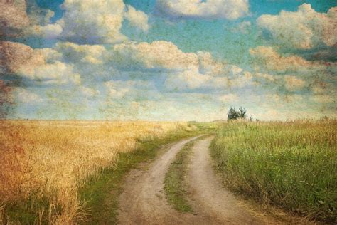 Vintage Cornfield Wallpaper Wall Mural | Landscape wallpaper, Beautiful nature scenes, Landscape