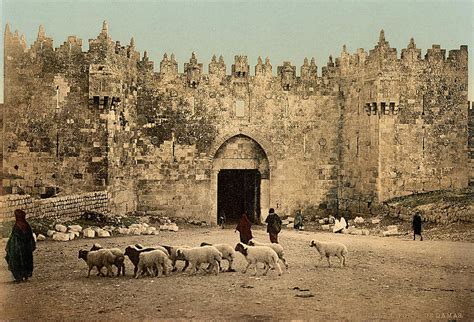 Jerusalem then and now: A journey in photos | Noam Chen | The Blogs | The Times of Israel