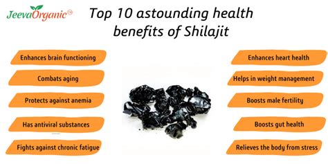 Top 10 potential nutritional benefits of Shilajit