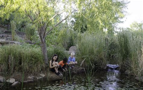 Attractions - River Bend Nature Center