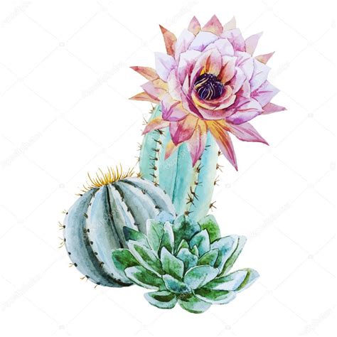 Watercolor cactus Stock Vector Image by ©ZeninaAsya #71479871