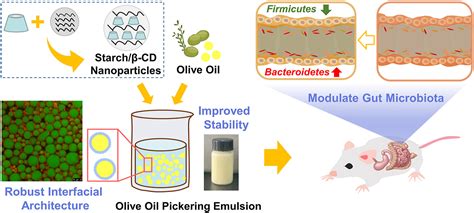 Food-grade olive oil Pickering emulsions stabilized by starch/β-cyclodextrin complex ...