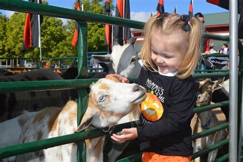 PETTING ZOO | The Great Pumpkin Farm