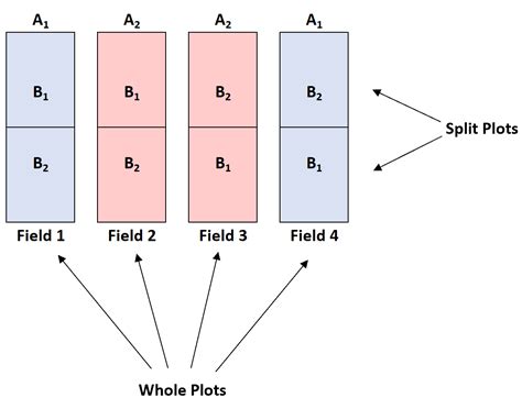 What is a Split-Plot Design? (Explanation & Example)