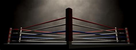 How to Build a Boxing Ring for cheap | RDX Sports Blog