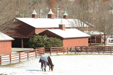 Early Fall Snow in Boone NC | VisualRecap.com