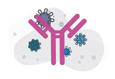 Broadly neutralizing antibody could fight new COVID-19 variants ...