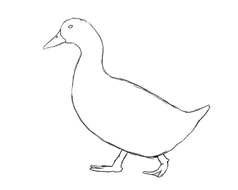 How To Draw A Duck - Draw Central