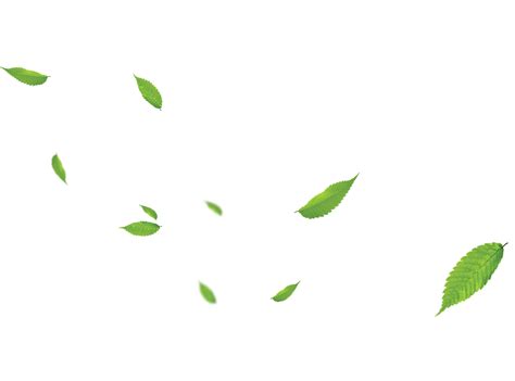 PNG Daun Transparent Daun.PNG Images. | PlusPNG