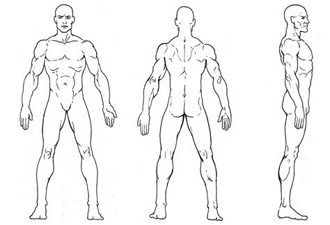 Man Character Reference Sheet, Character Model Sheet, Anatomy Reference ...