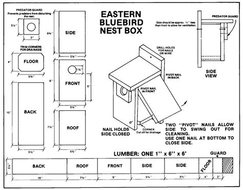 Unique Bird House Plans For Bluebirds - New Home Plans Design