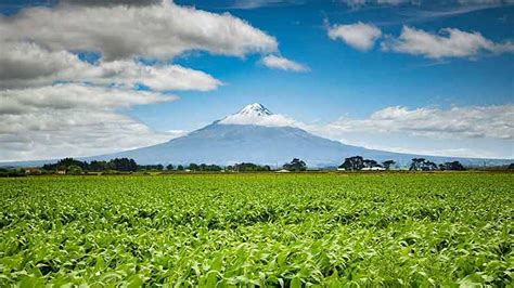 Hiking In New Zealand - 13 Best Hikes In 2024