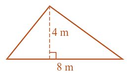 Area of a Triangle - Definition, example, practice questions | Cluey