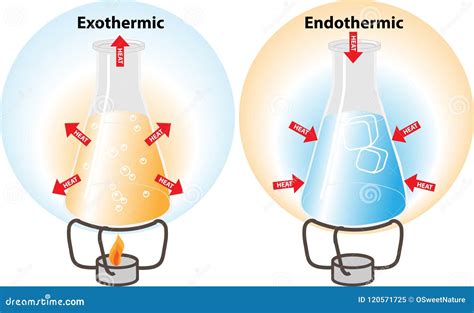 Endothermic Cartoons, Illustrations & Vector Stock Images - 150 ...