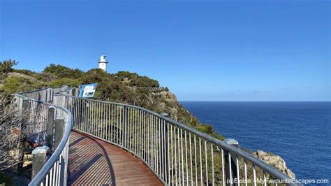 Discover the beauty of Freycinet National Park: Tips to plan the best trip