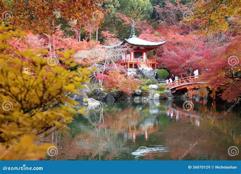 Fall season in Japan editorial stock image. Image of japanese - 36070129