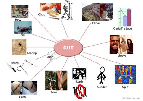 Synonyms of cut general readin…: English ESL powerpoints