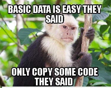 Meme Creator - Funny basic data is easy they said only copy some code ...