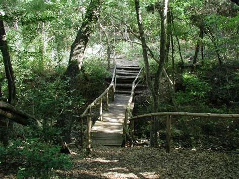 The woods at Mayfield Park in Austin, Texas. Mayfield Park, Rickety Bridge, Lotus Pond, Summer ...