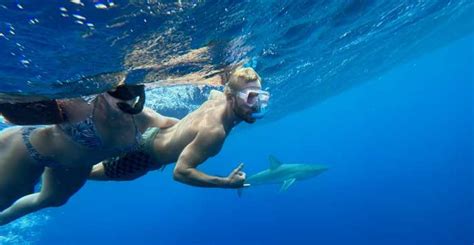 The BEST North Shore, Oahu Snorkeling 2023 - FREE Cancellation ...