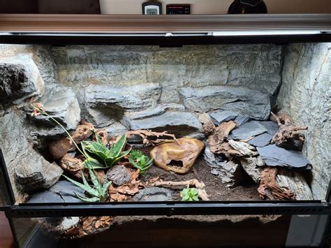 Bioactive setup for Leopard Gecko - Getting the gecko end of the month. #reptiles | Leopard ...