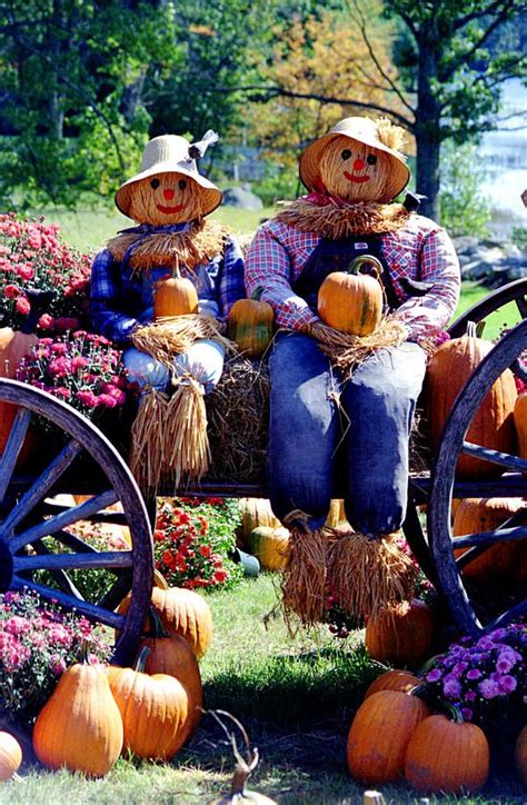 Harvest Couple Photograph Halloween Chat Noir, Fall Halloween, Happy ...