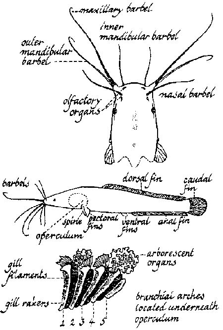 3. BIOLOGY