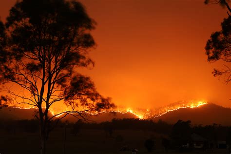 Les incendies de forêts de 2020 pourraient être pires que ceux de 2019 ...