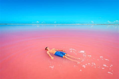 The Unbelievable Pink Lakes Of Las Coloradas In Mexico • Expert Vagabond