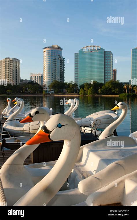 Lake eola swan boats florida hi-res stock photography and images - Alamy